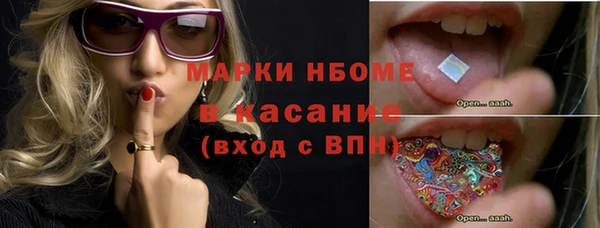 гидропоника Алзамай