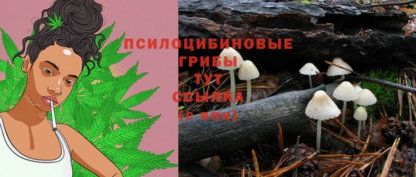 гидропоника Алзамай