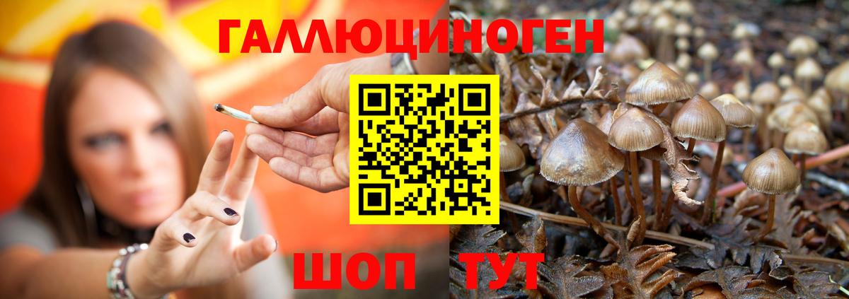 Псилоцибиновые грибы мухоморы Шебекино